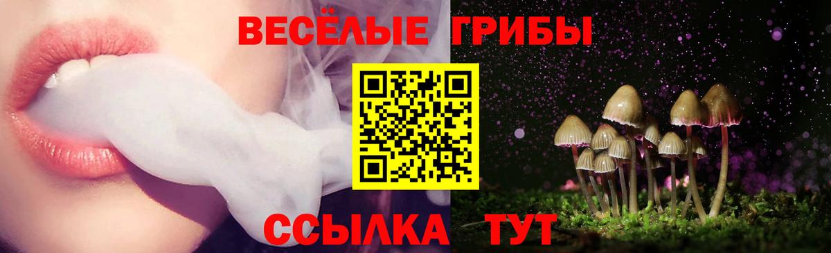 Галлюциногенные грибы ЛСД Канск